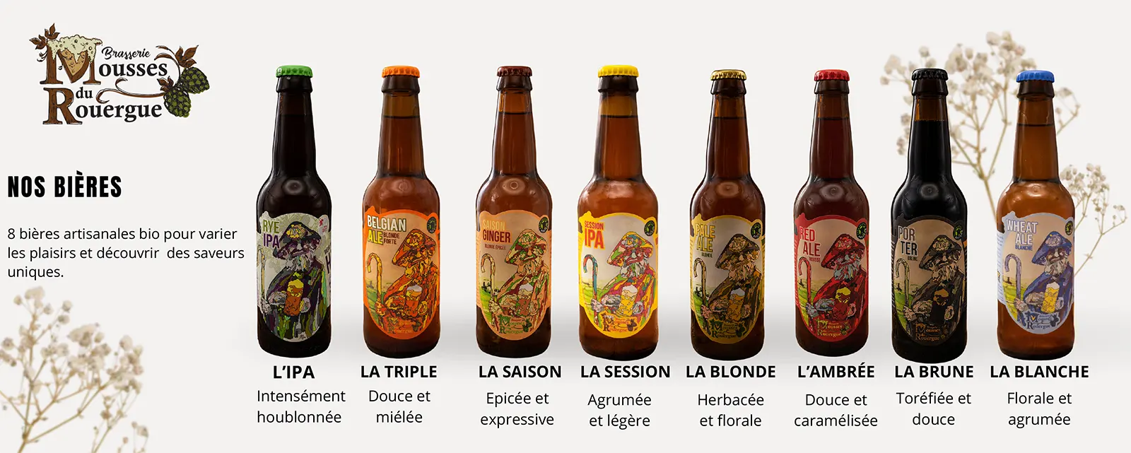 Assortiment de bières des Mousses du Rouergue brasserie Aveyron